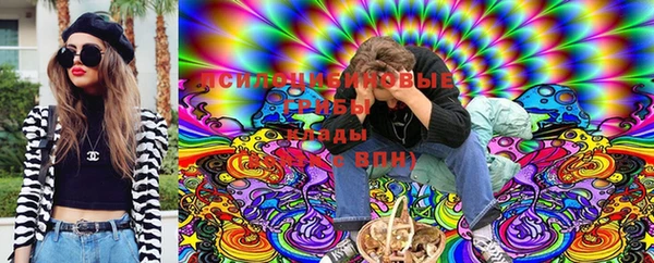 2c-b Алзамай