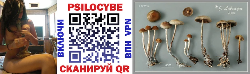 купить наркотики сайты  Фёдоровский  Псилоцибиновые грибы мухоморы 
